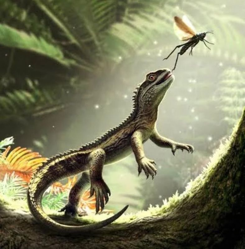 An Unassuming Find with Monumental Implications