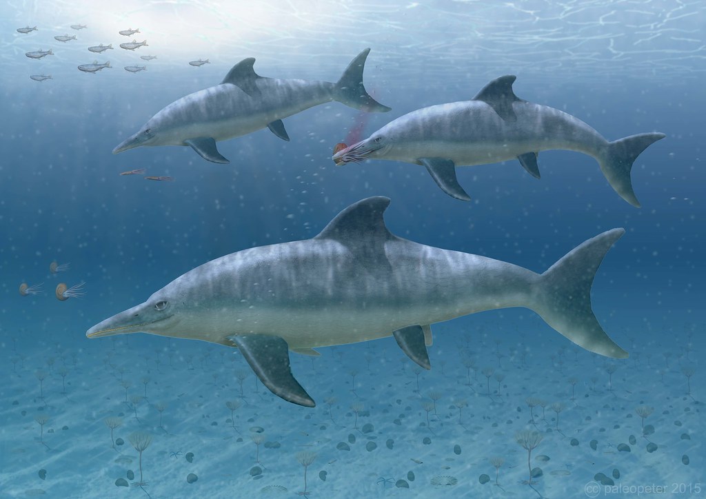 Ichthyosaurs: The Dolphin-Like Reptiles That Perfected Life at Sea