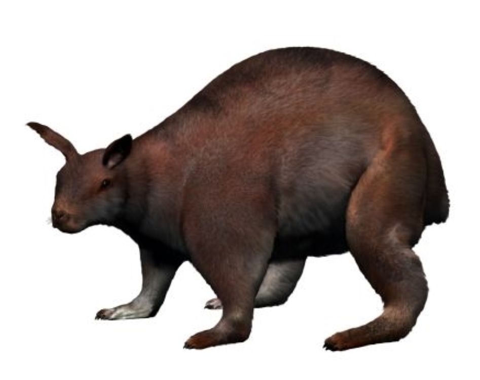 A Surprise Giant from Eocene China