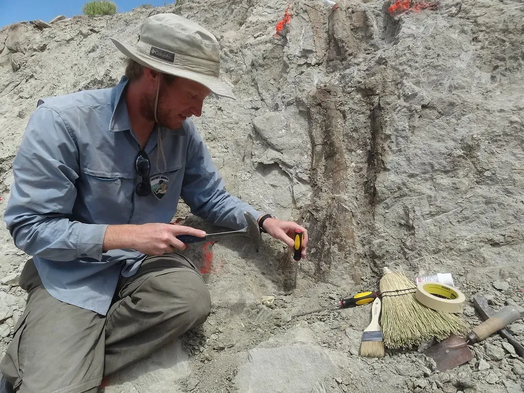 The Discovery of New Fossil Sites Continues to Reshape Our Dinosaur Knowledge