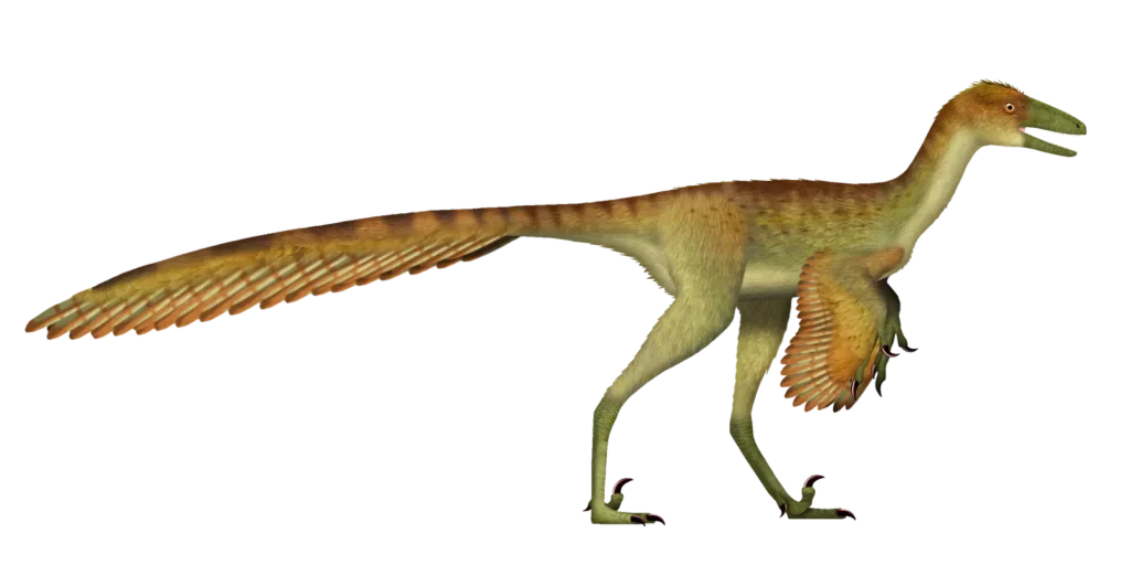 Fossil Finds: New Evidence Suggests Dinosaurs Were Warm-Blooded Hunters