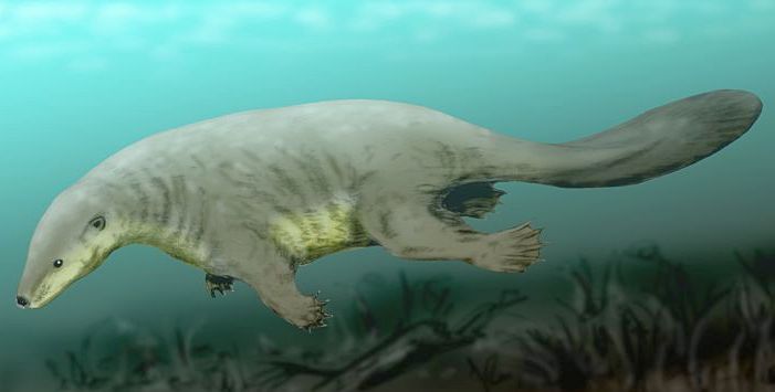 From Night to Day - The Behavioral Revolution