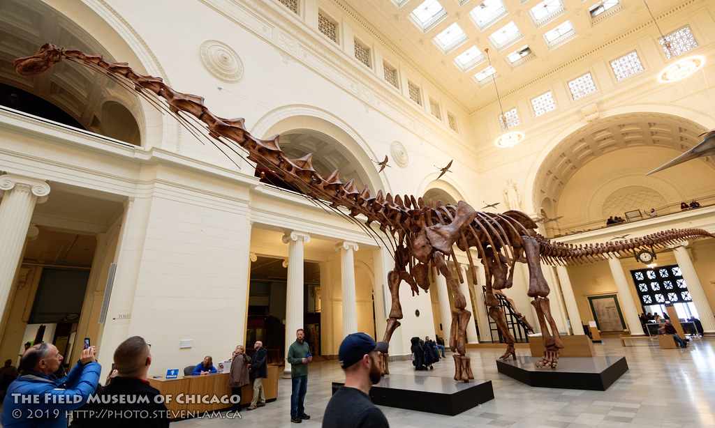 5 Zodiac Signs Whose Inner Strength Mirrors a Fossilized Giant