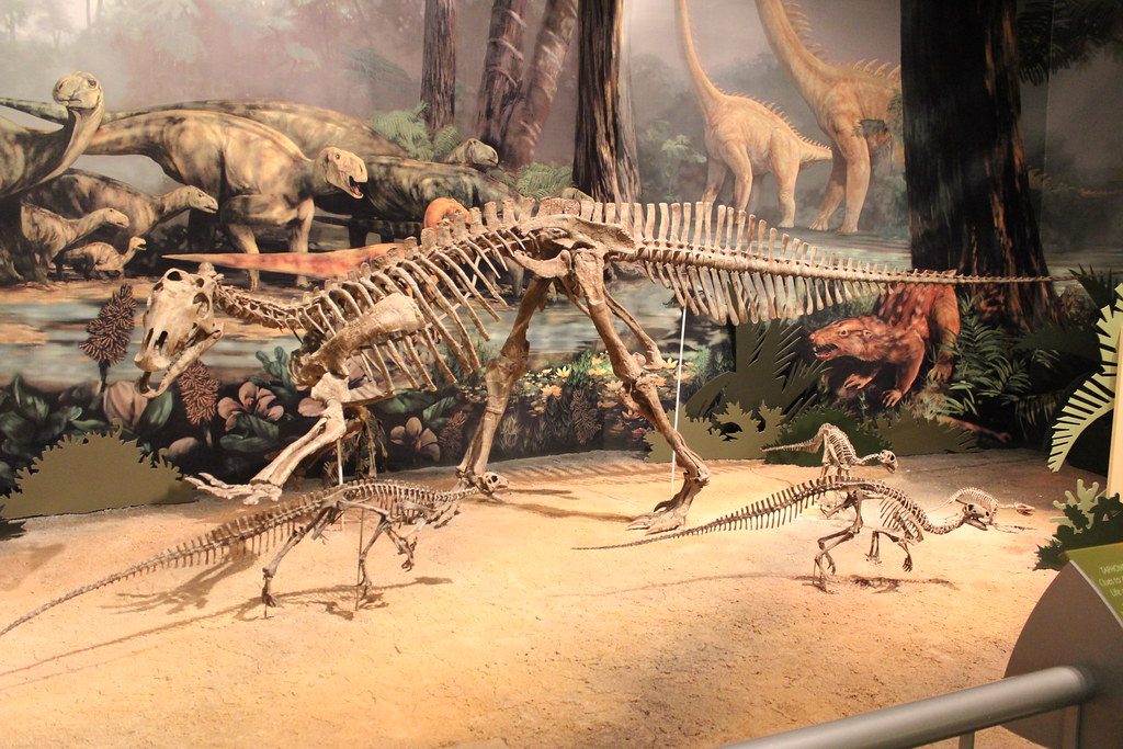 Fossil Herds: When Dinosaurs Died Together, Not Alone