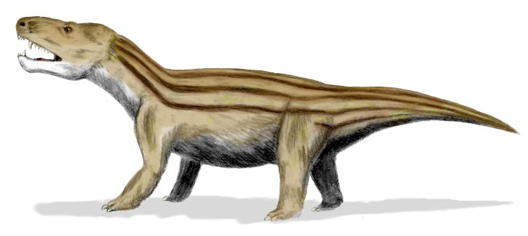 5. Cynognathus: The Dog-Jawed Proto-Mammal That Almost Was