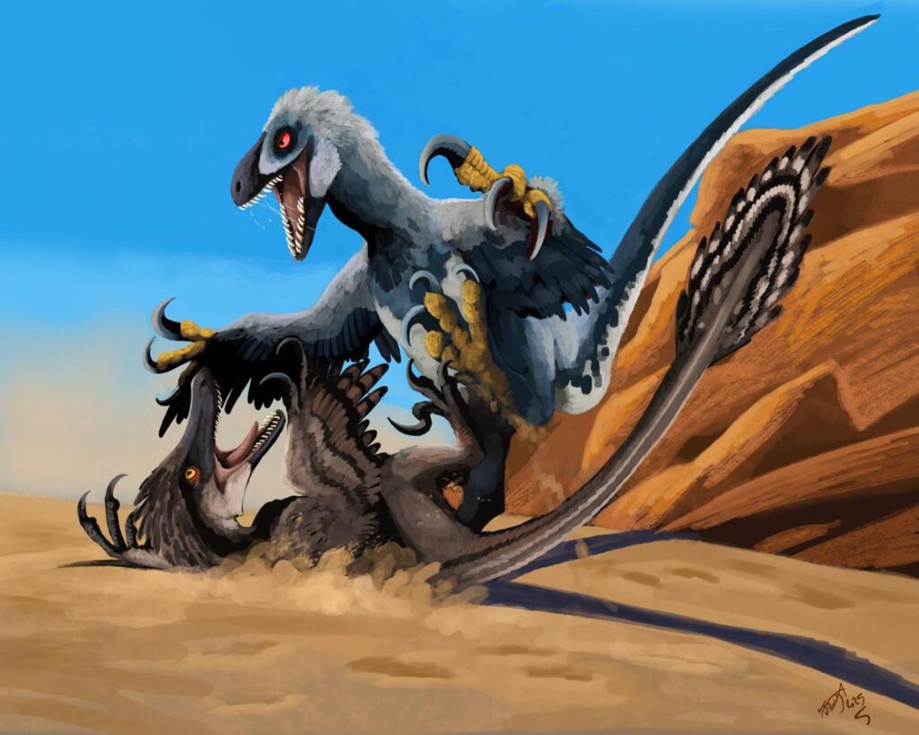 A Fossil's Turbulent Path from Shadows to Science