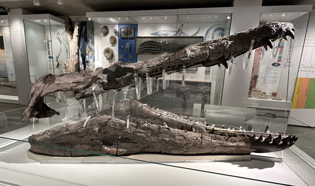 A Perilous Chase Up the Cliff Face