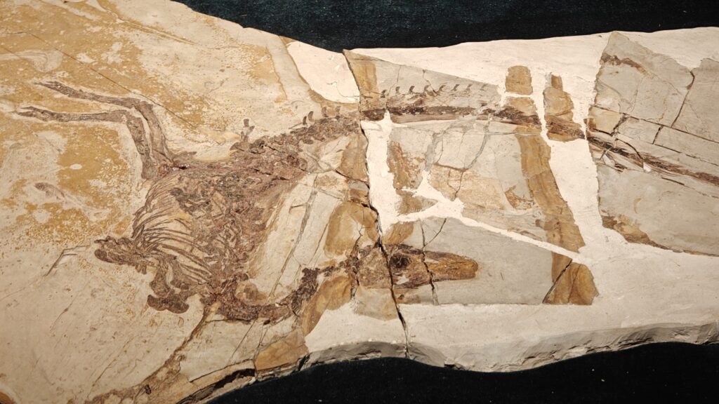 The Shocking Discovery That Changed Everything