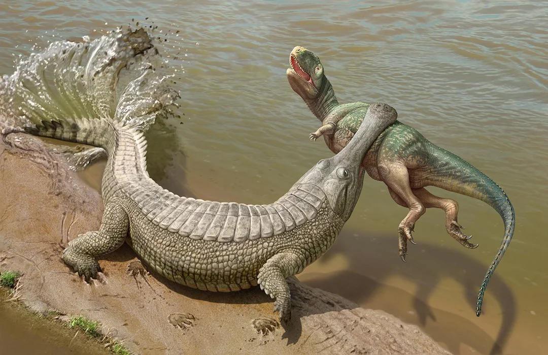 Sarcosuchus: The Super-Croc That Would Hunt Your Dinosaurs