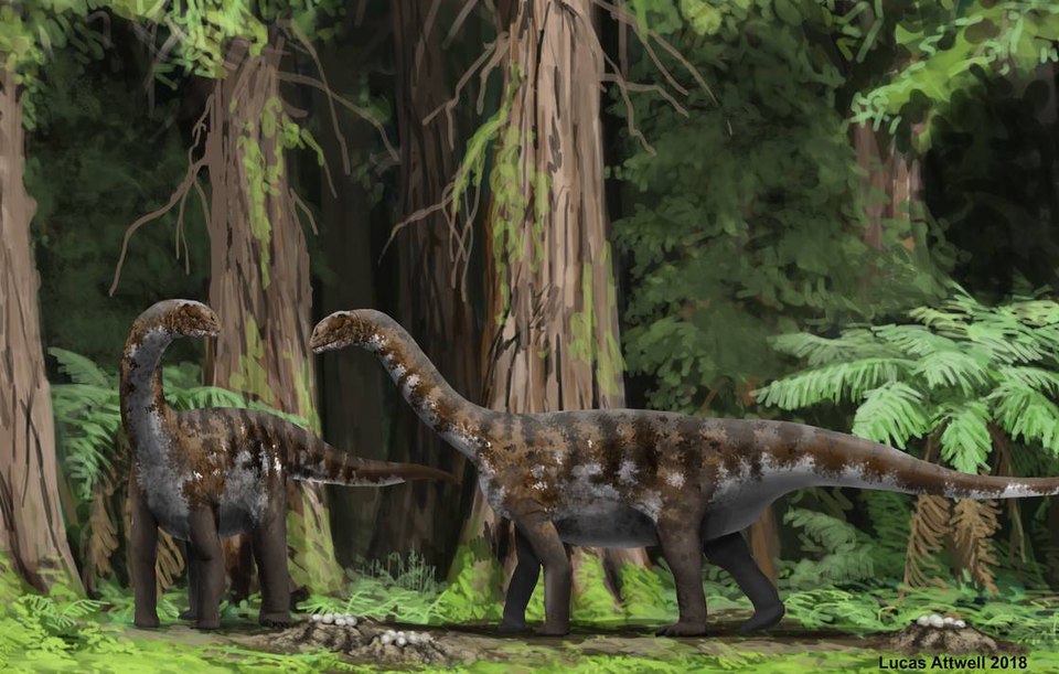 You Also See Pushback: Not Every Dinosaur Was A Doting Parent 