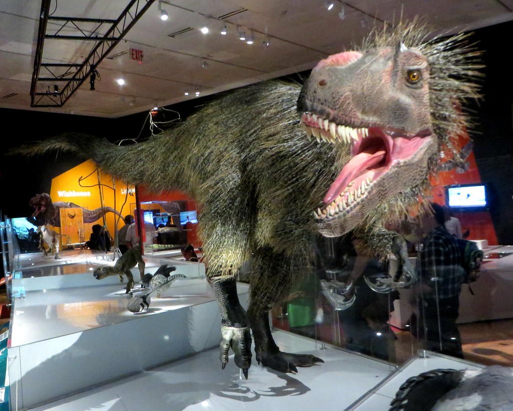 The Giants That Rocked the Feather World