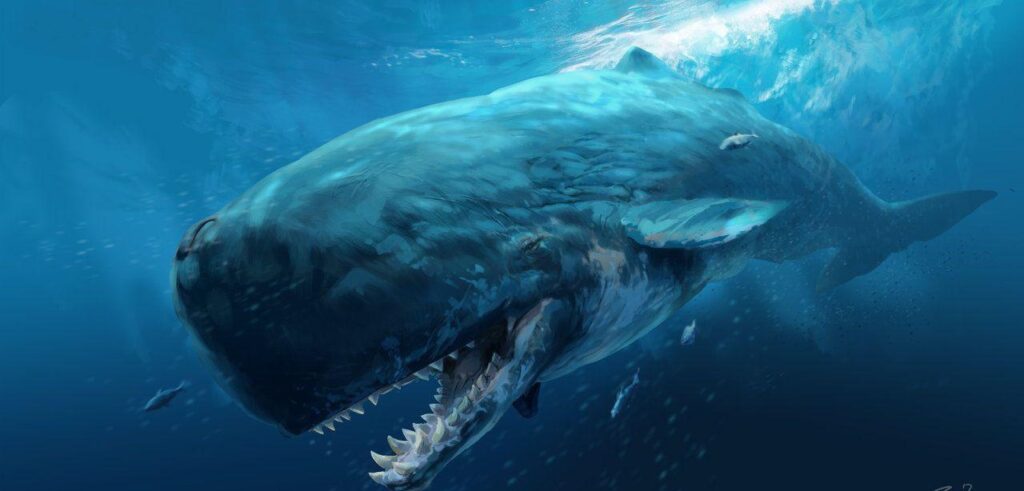 These 3 Zodiac Signs Are as Unyielding and Mysterious as a Deep-Sea Prehistoric Hunter