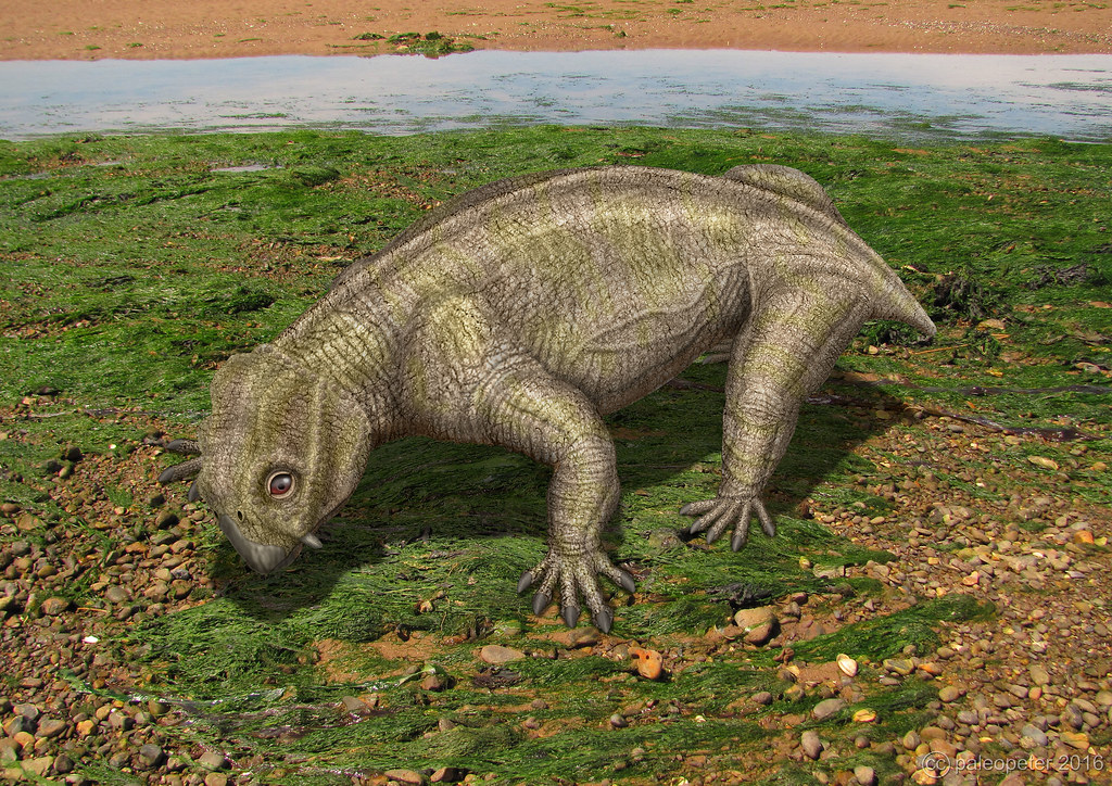 Who Survived and How: Life's Razor-Thin Thread