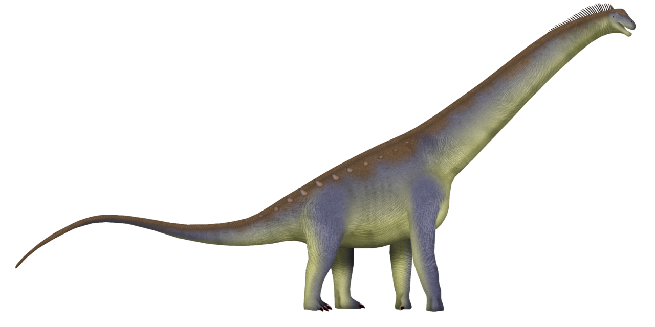 Alamosaurus – The Titan of the Southwestern Deserts