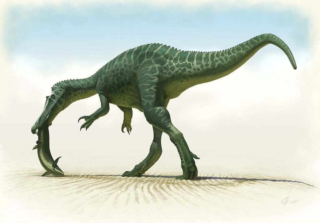 Baryonyx: The Fish Hunter with a Stomach Full of Proof 