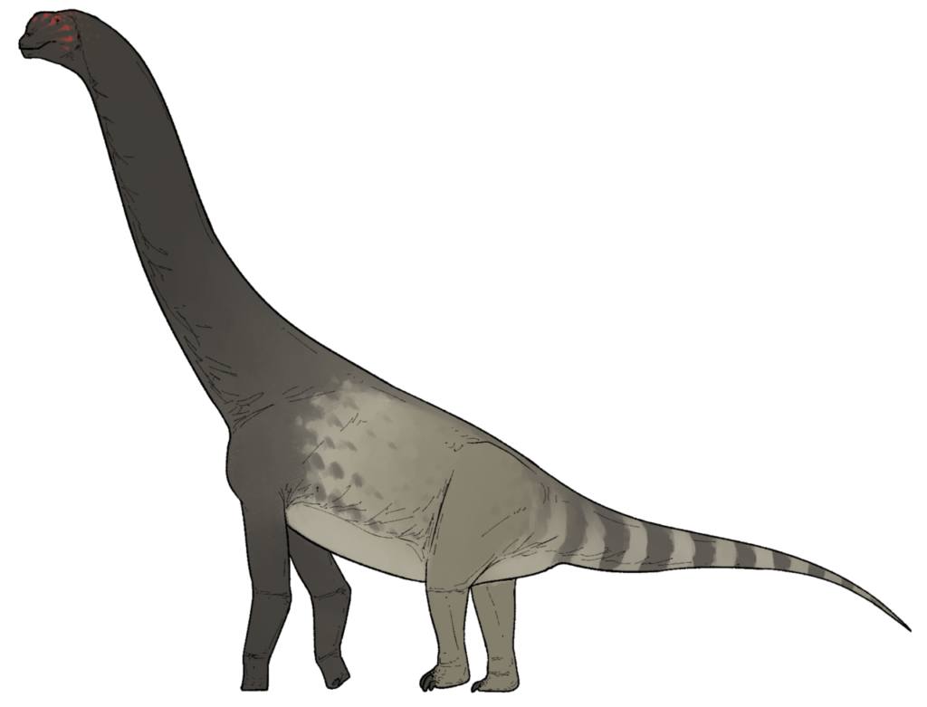 A New Giant Emerges From Patagonia