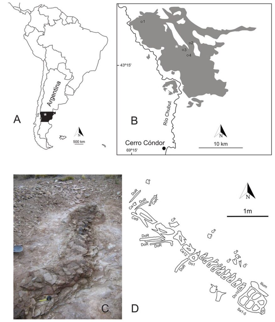 Patagonia’s Role as a Dinosaur Hotspot