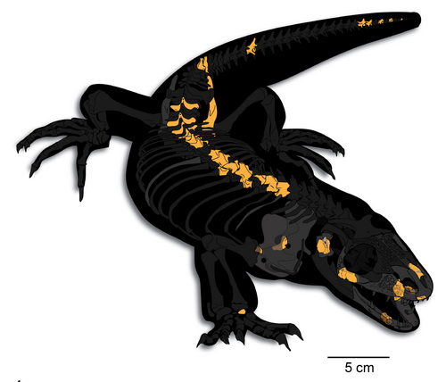 A Giant Lizard Named After a Tolkien Villain 