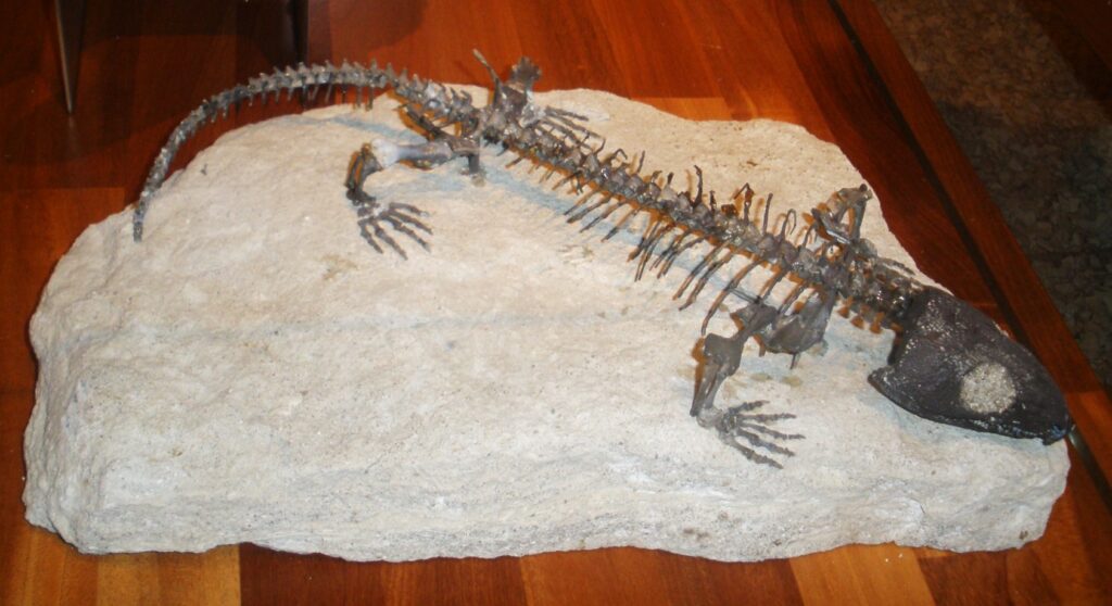 A Treasure Trove in Permian Caves