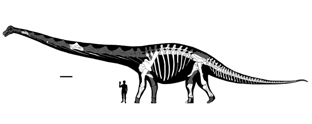 Dreadnoughtus: The Most Complete Giant Ever Discovered
