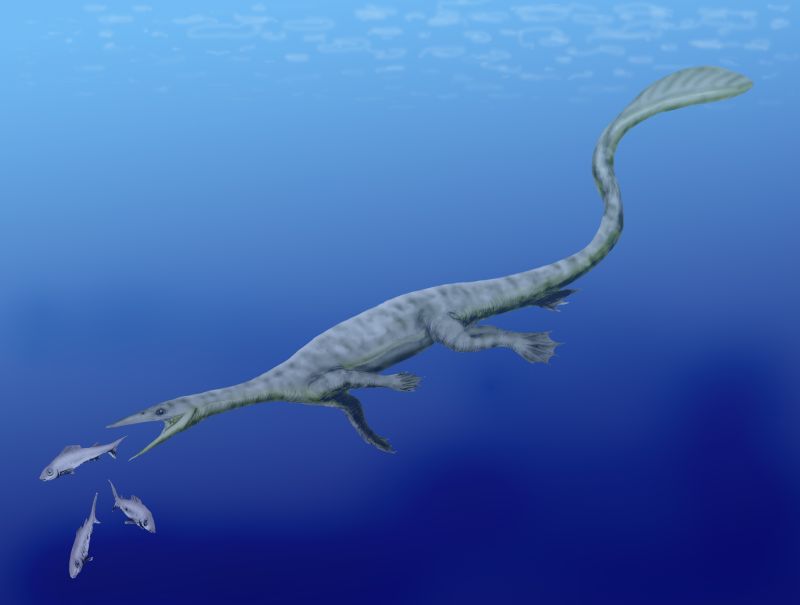 Thalattosaurs – The Oddballs of the Triassic Coastlines
