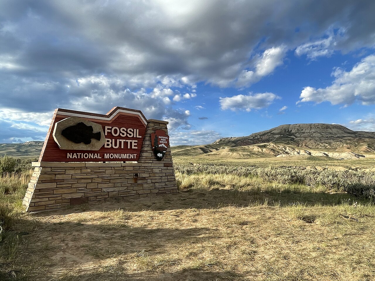 8. Fossil Butte (Green River Fossil Lake), Wyoming – The Finest Fish Slabs You’ll Ever See