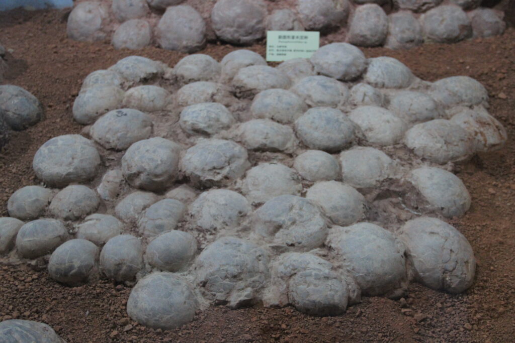 12 Amazing Dinosaur Eggs and Nests That Tell a Story of Prehistoric Parenting