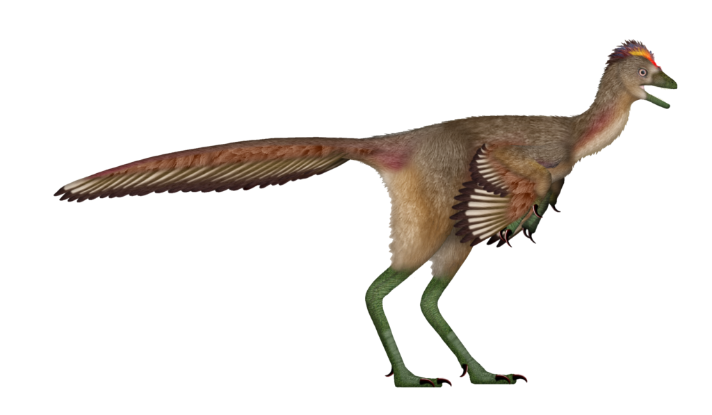 2. Fujianvenator: The “Weird Hunter” That Scrambles Bird Evolution