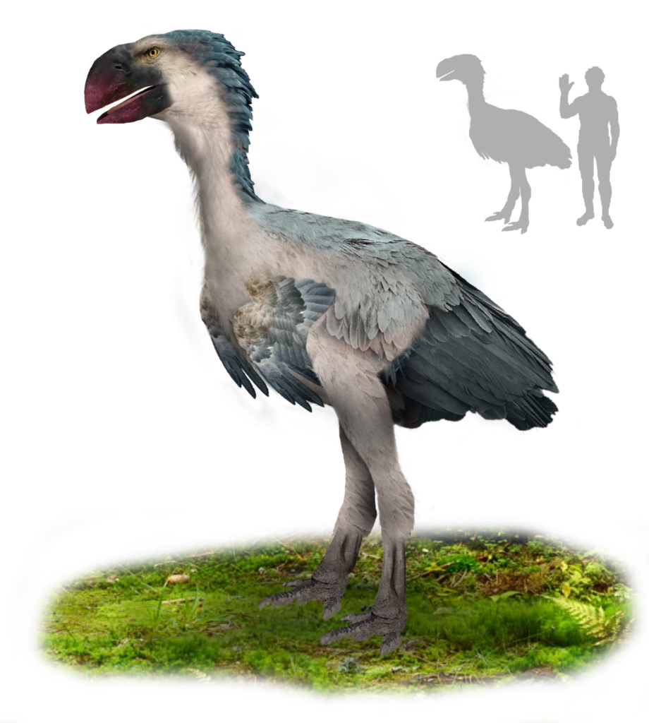 The Gastornis: A Man-Sized Giant That Walked Where You Walk