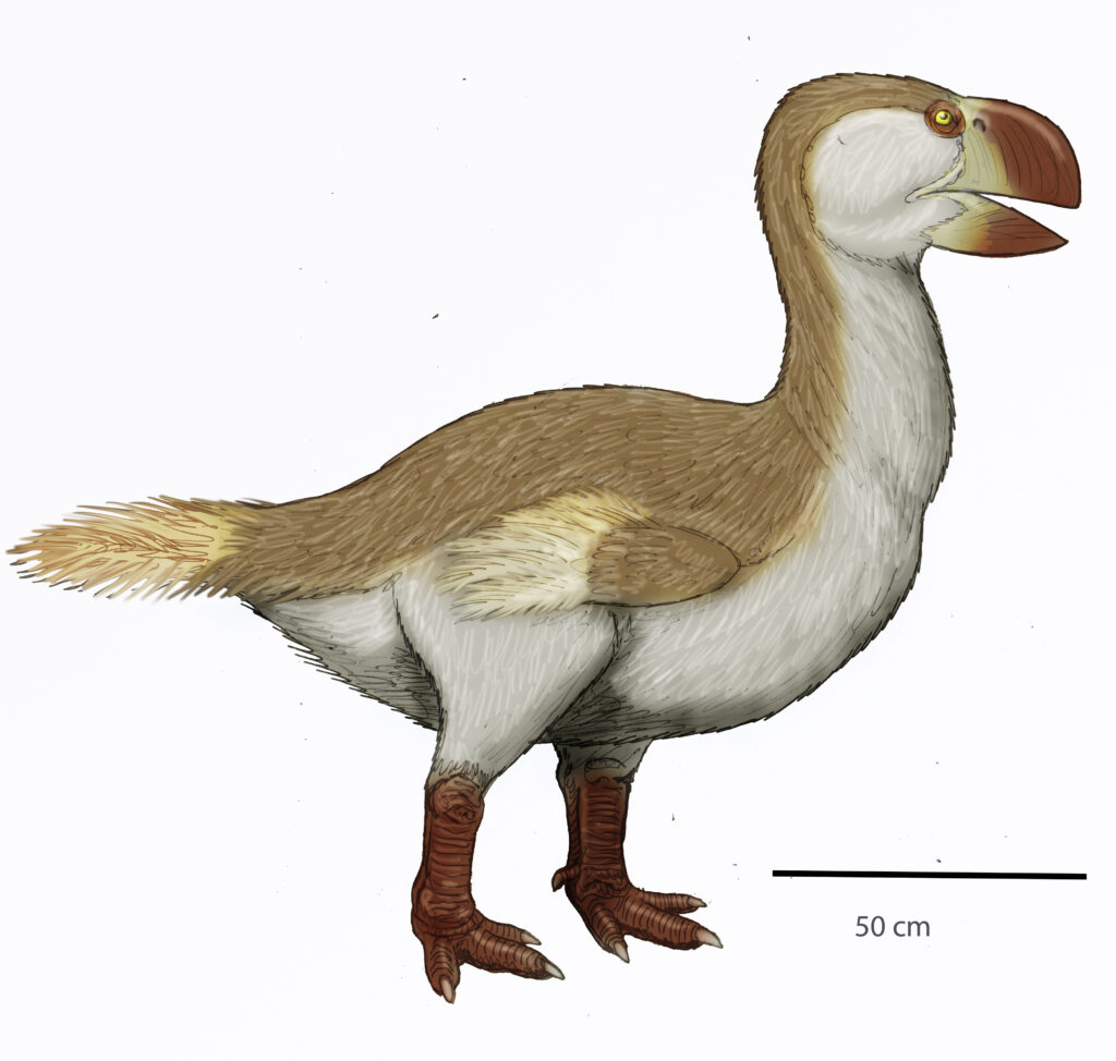 Was It a Predator or a Plant-Eater? The Debate That Stunned Scientists