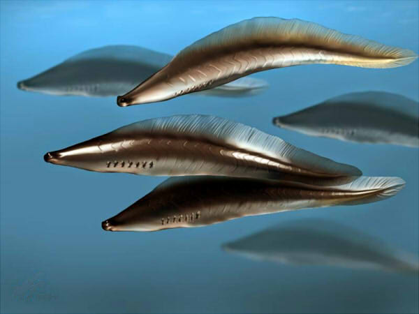 The Very First Vertebrates: Life Before Jaws