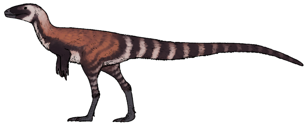 7. Huadanosaurus’s Cousins: The Early Feathered Crowd in Your Blind Spot 