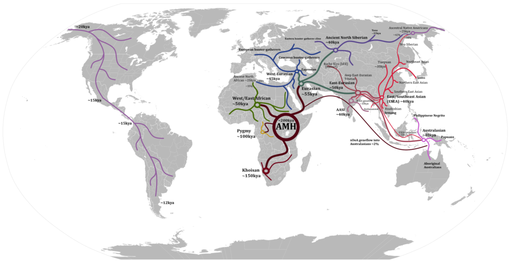 The First Adventurers: Out of Africa and Into the Unknown