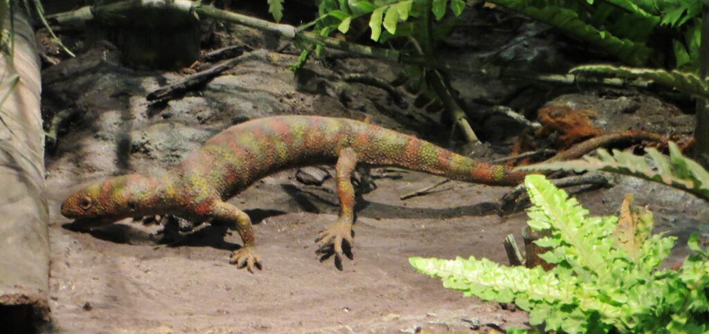 The First Reptiles: Humble Beginnings in Carboniferous Swamps