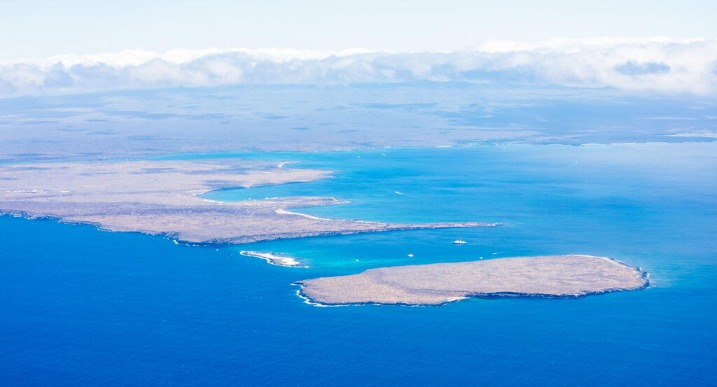 Seymour Island: Antarctica's Most Extraordinary Fossil Treasure Chest