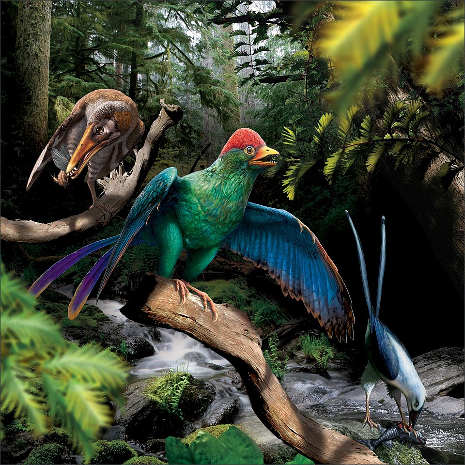 The "Opposite Birds" and What They Tell You About Evolution