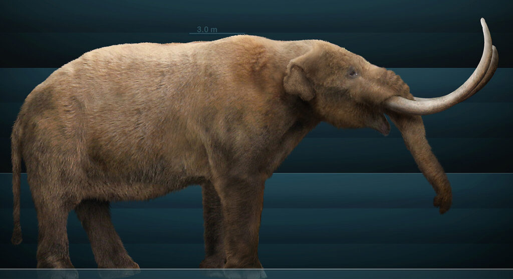4. The American Mastodon: The Elephant That Actually Called America Home First