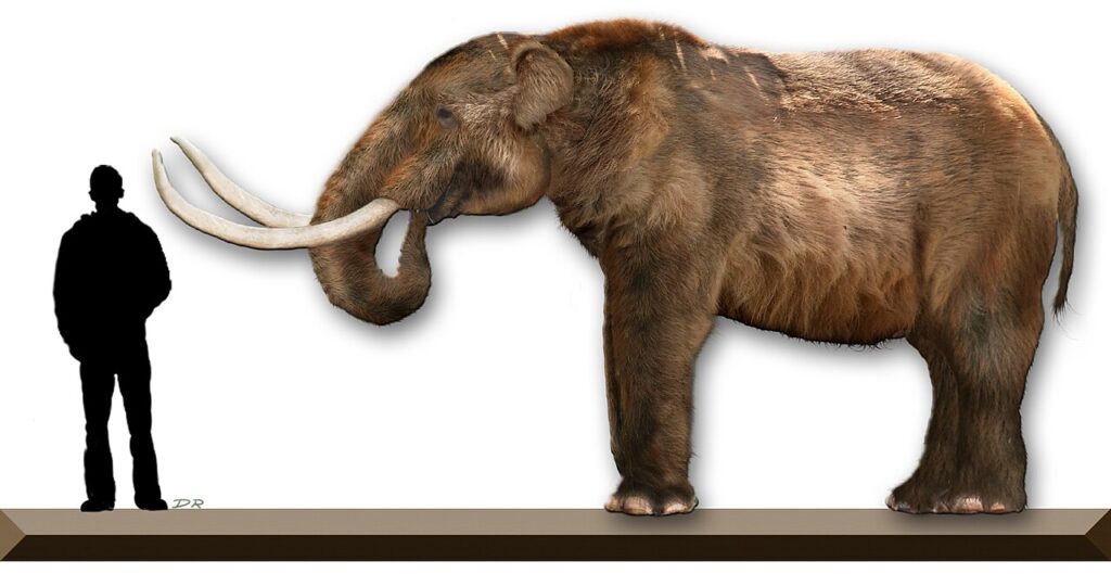 The American Mastodon: A Forest Browser Hidden in Plain Sight