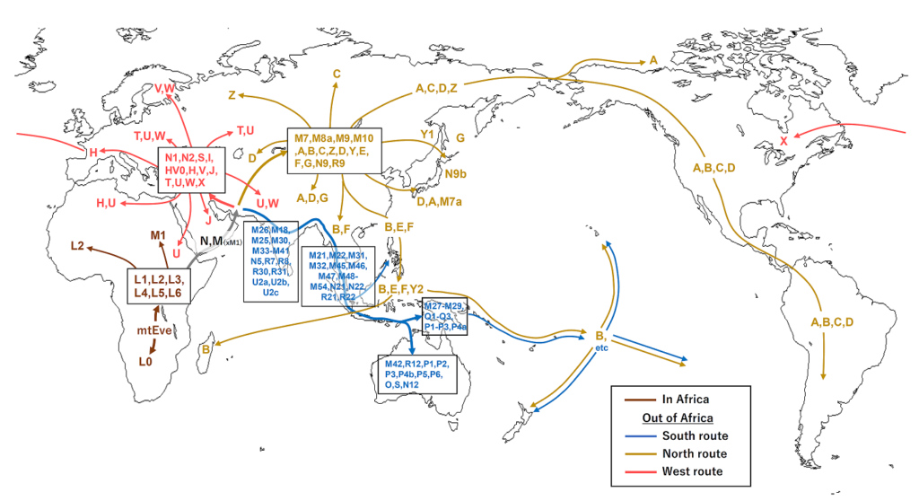 Ancient Human Migrations: How Our Ancestors Explored a Prehistoric World