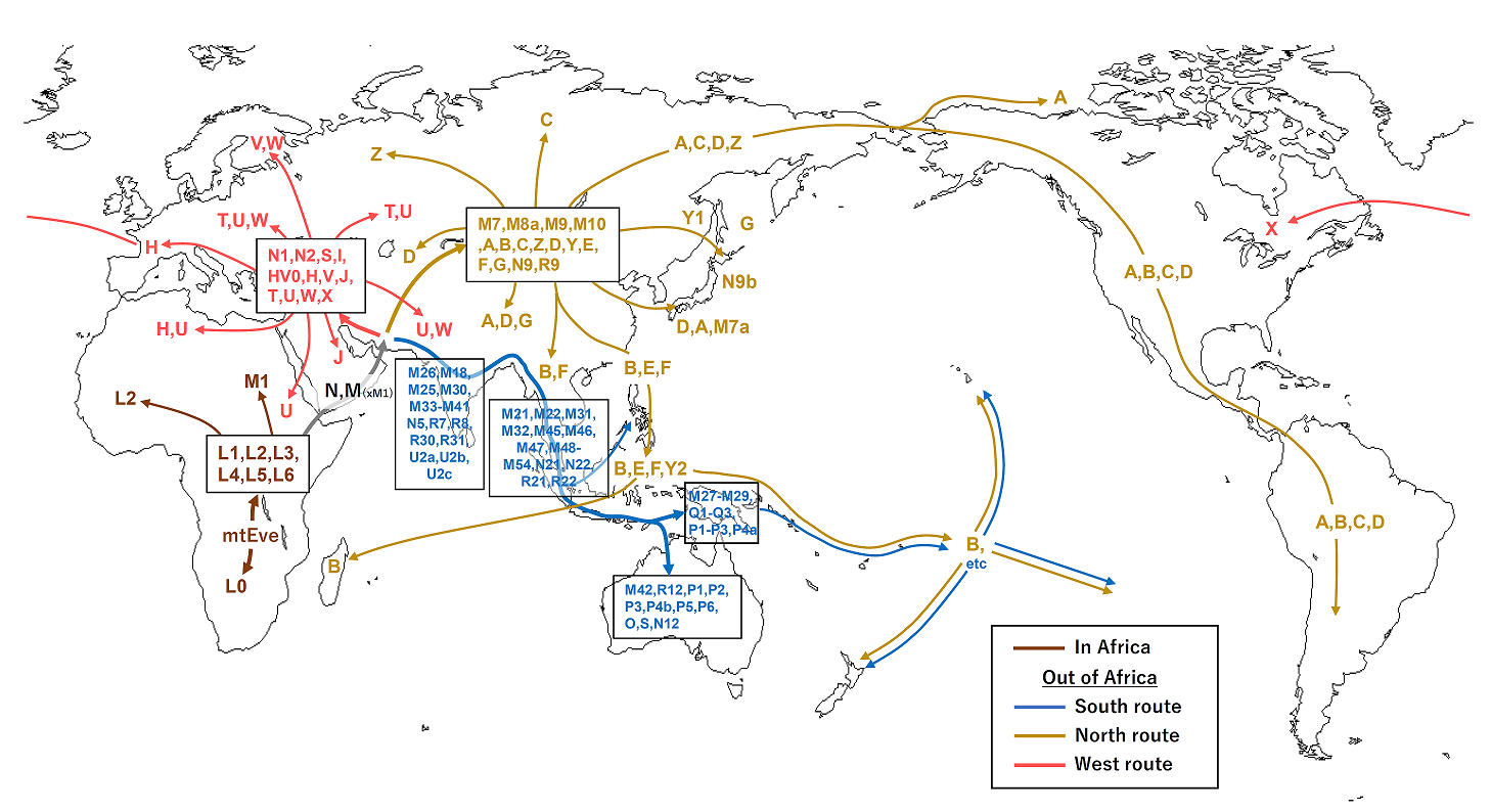 Why Your Ancestors Traveled: Curiosity, Pressure, and the Human Drive to Move