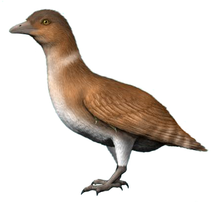 Utah's Prehistoric Sky Giant: The Most Complete Dinosaur-Era Bird in North America