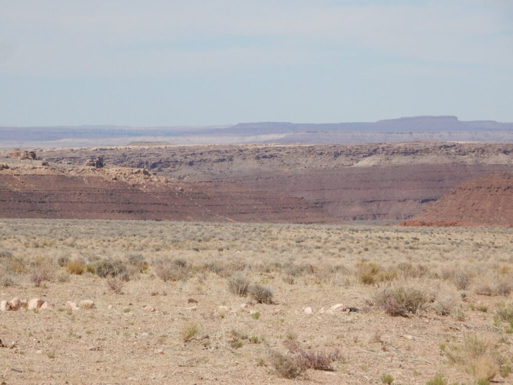 The Moenkopi Formation: Reading the Dawn of the Dinosaurs