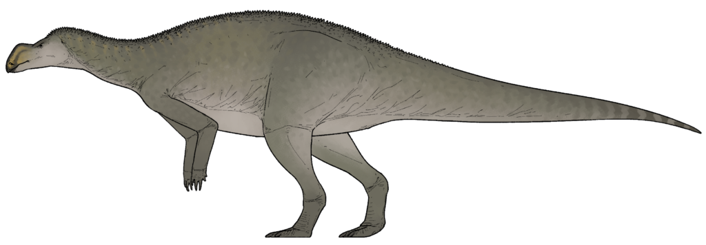 A Return to the Original Discovery Site