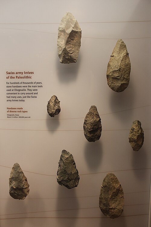 Discovery 5: The Olorgesailie Basin - When Early Humans Became Surprisingly Modern 