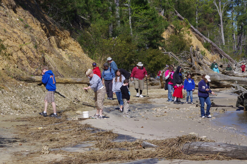 A Coastline Packed With Ancient Life