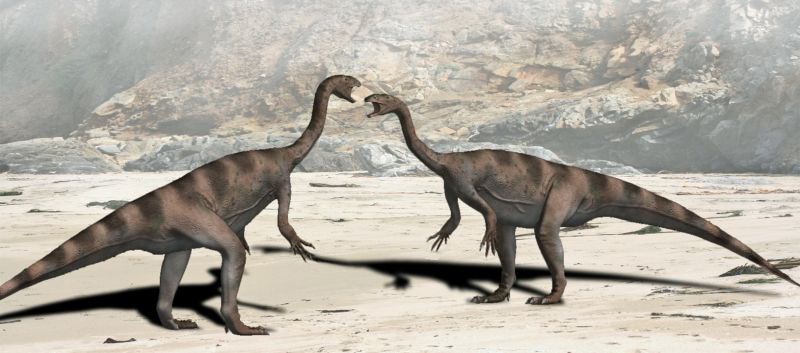 Not Just Dinosaurs: The Overlooked Triassic Giants