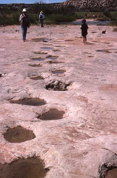 5. Purgatoire River Valley, Colorado: A Cretaceous Corridor of Tracks