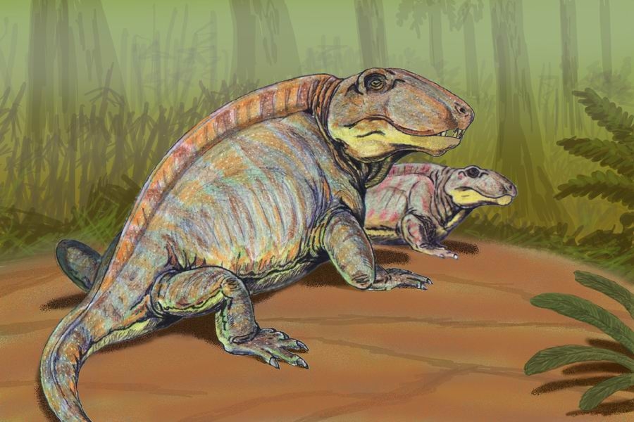 10. Sphenacodon: The Southwest’s Sleek Apex Predator