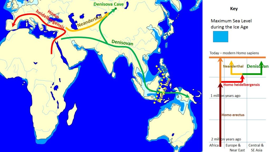 10 Theories on the First Human Journeys