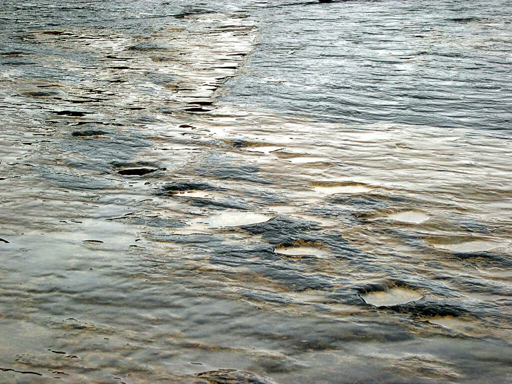 The Oldest Footprints: A Stunning Discovery That Changed Everything